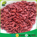 dried goji berry organic for health benefits